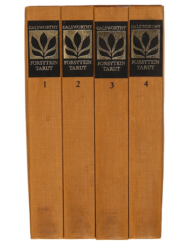 Forsytein taru 1 - John Galsworthy - Kaunokirjallisuus - 10105307007 - 1