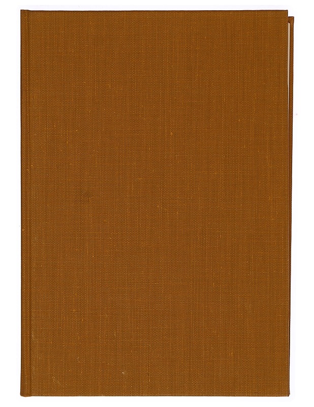 Forsytein taru 2 - John Galsworthy - Kaunokirjallisuus - 10105307013 - 0