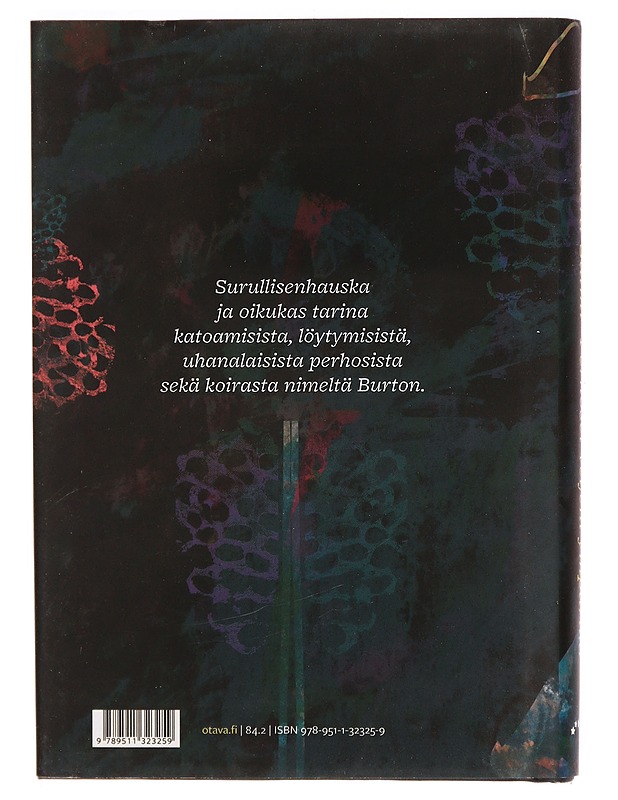 Perhoset veljeni ympärillä - Veera Salmi - Romaanit ja novellit - 10105307308 - 1