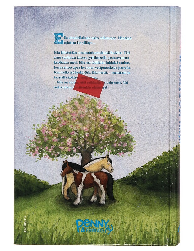 Keskiyön ratsu - Wills, Amanda - Nuorten kirjat - 10105309057 - 1