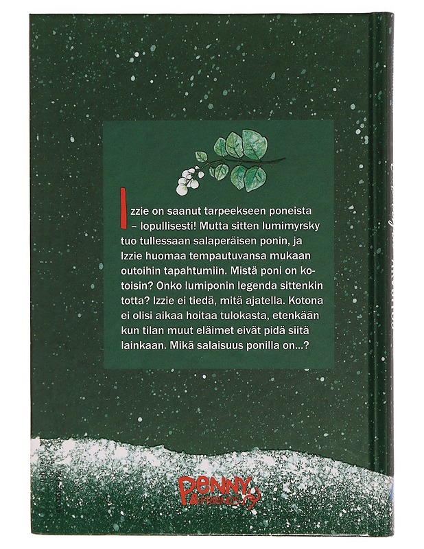 Lumimarjan arvoitus - Kavanagh, Pamela - Nuorten kirjat - 10105309261 - 1