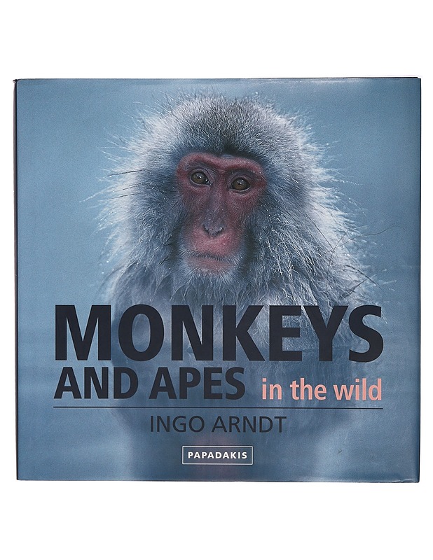 Monkeys and Apes in the Wild - Ingo Arndt - Tietokirjat ja oppaat - 10105309777 - 0