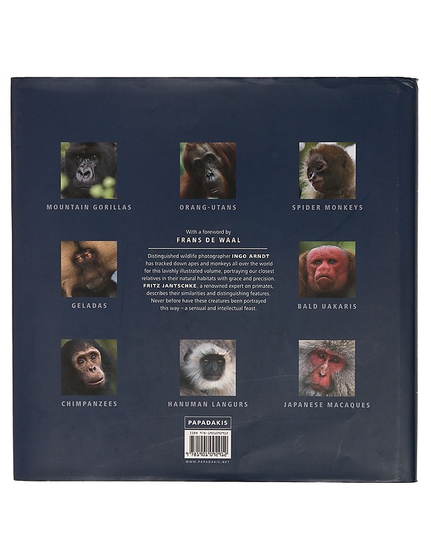 Monkeys and Apes in the Wild - Ingo Arndt - Tietokirjat ja oppaat - 10105309777 - 1