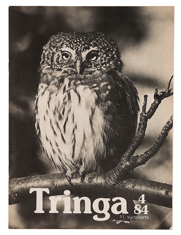 Tringa #4/84 - Lehdet - 10105319257 - 0