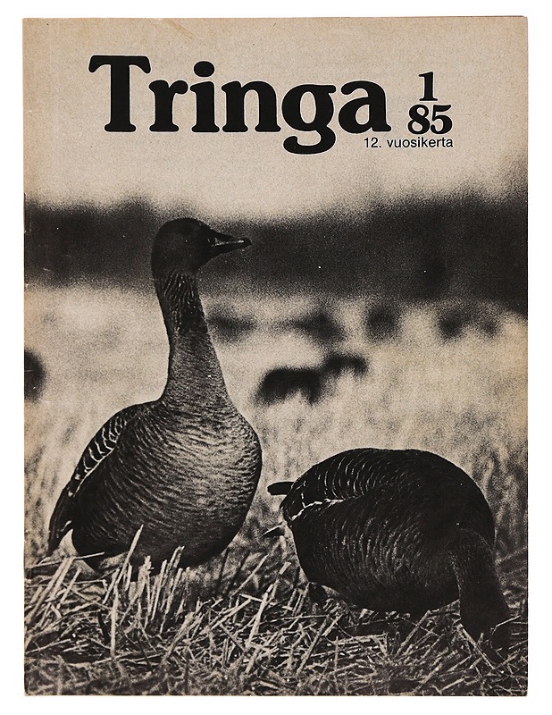 Tringa #1/85 - Lehdet - 10105319266 - 0
