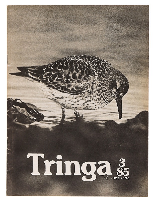 Tringa #3/85 - Lehdet - 10105319296 - 0