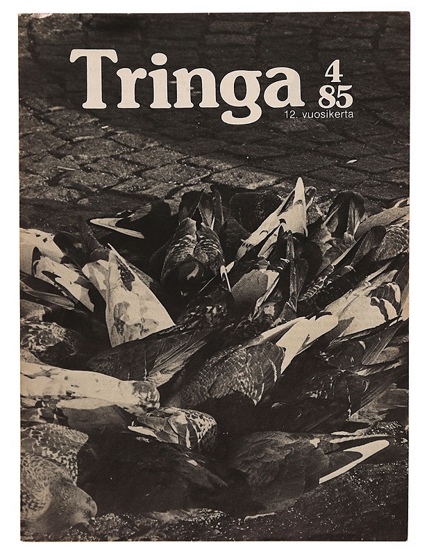 Tringa #4/85 - Lehdet - 10105319304 - 0