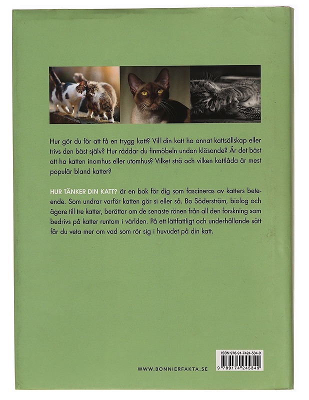 Hur tänker din katt? - Söderström, Bo - Tietokirjat ja oppaat - 10105319499 - 1