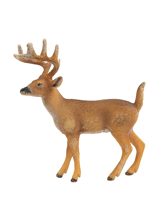 SCHLEICH valkohäntäpeura figuuri - Lasten lelut - 10105319880 - 0
