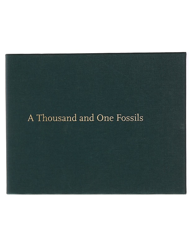 A Thousand and One Fossils: Discoveries in the Desert at Al Gharbia, United Arab Emirates - Tietokirjat ja oppaat - 10105320595 - 0