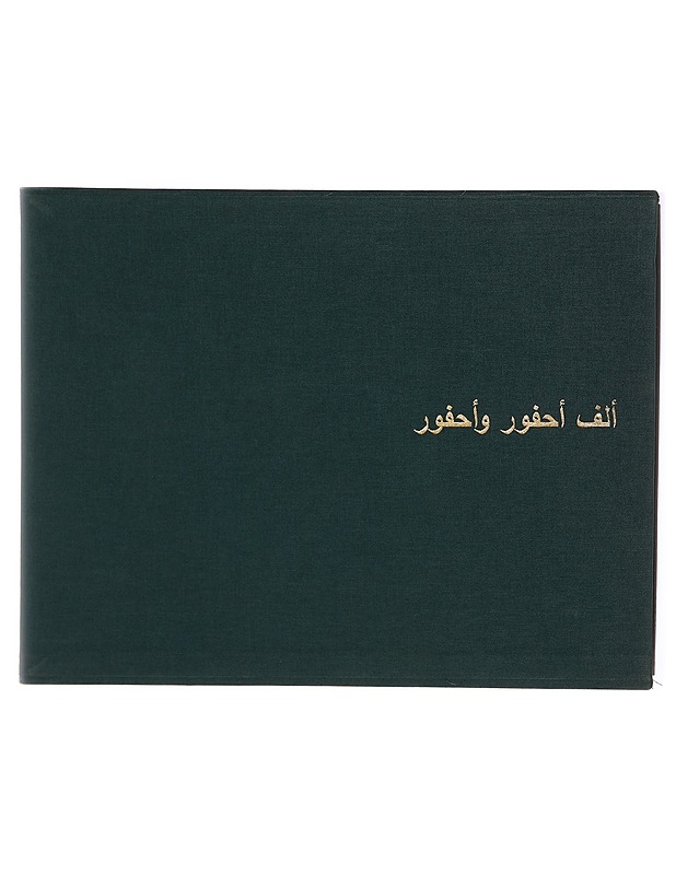 A Thousand and One Fossils: Discoveries in the Desert at Al Gharbia, United Arab Emirates - Tietokirjat ja oppaat - 10105320595 - 1