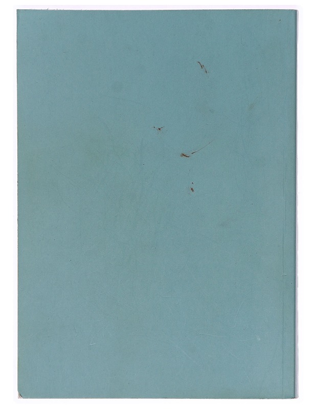 Suomen V. ja O.M. Suurloosi - Tietokirjat - 10105320644 - 1