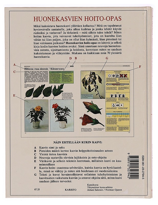 Huonekasvien hoito-opas - Davidson, William - Tietokirjat ja oppaat - 10105320717 - 1