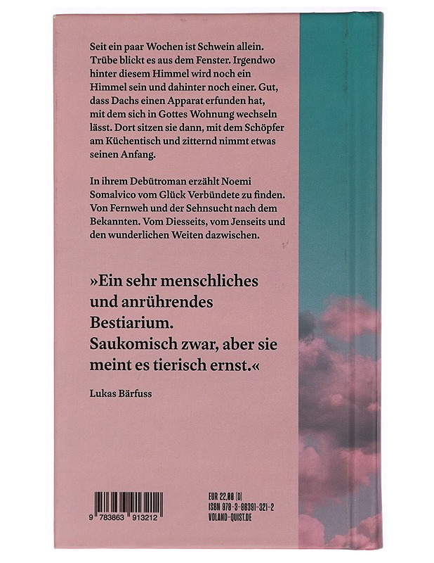 Ist hier das Jenseits, fragt Schwein - Romaanit ja novellit - 10105323840 - 1