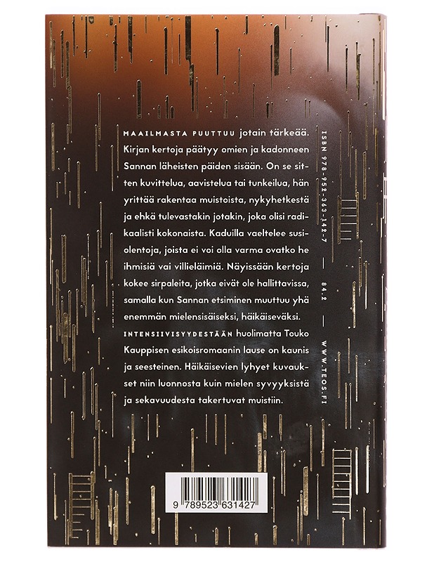 Häikäisevät - Touko Kauppinen - Romaanit ja novellit - 10105324337 - 1