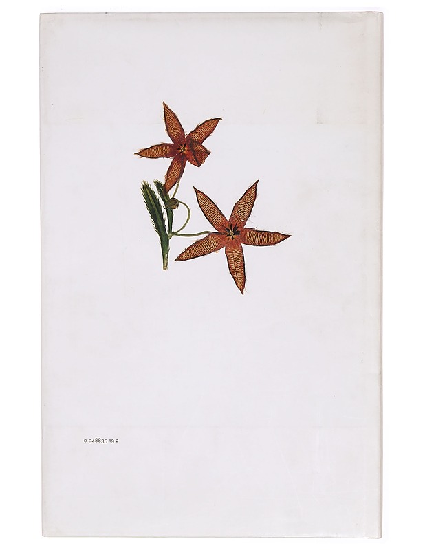 Flora - Knight, Nick - Tietokirjat ja oppaat - 10105324470 - 1