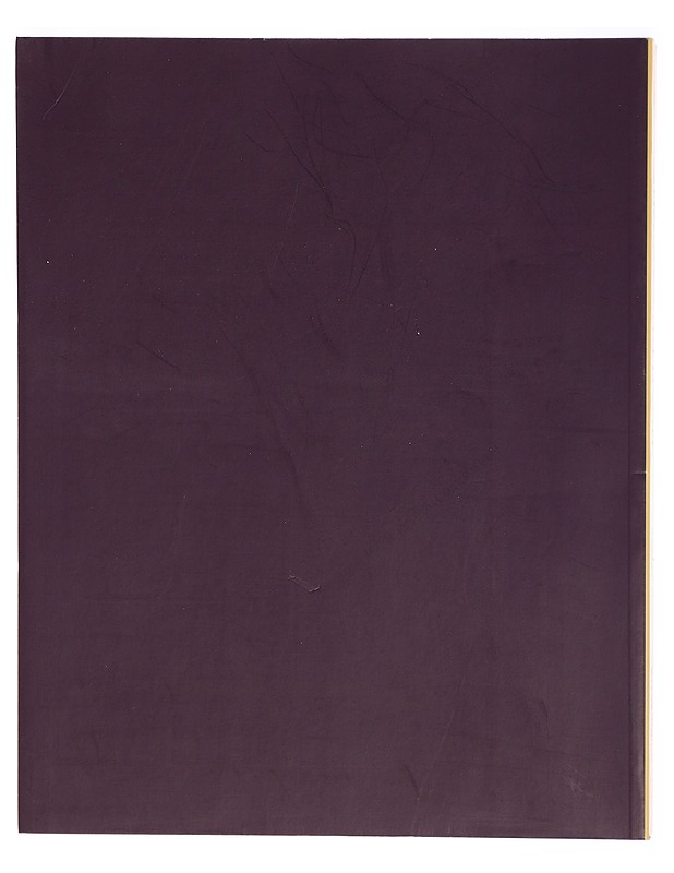 Surface and depth : Early modernism in Finland 1890-1920 - Tietokirjat ja oppaat - 10105324970 - 1