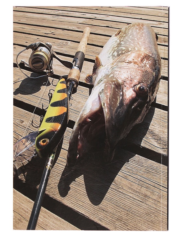 Viehevuosi 2012 / Erä vuosikirja - Uitti, Anssi - Tietokirjat ja oppaat - 10105325846 - 1