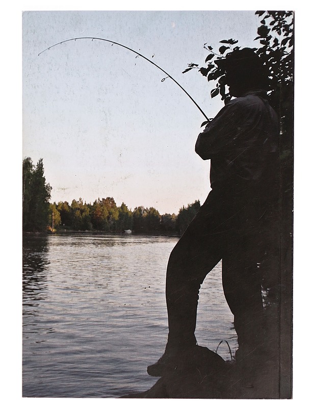 Viehevuosi 2013 / Erä vuosikirja - Viitanen, Heikki - Tietokirjat ja oppaat - 10105325848 - 1