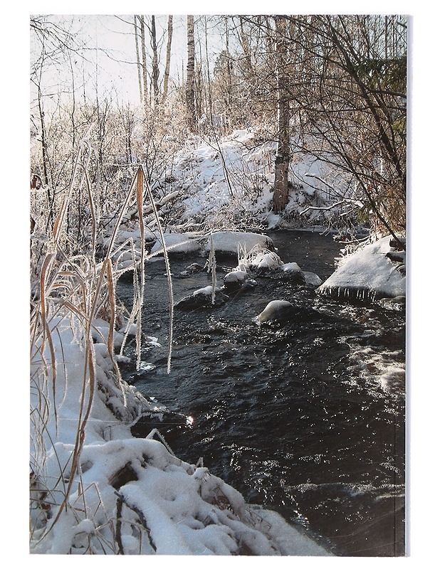 Talvikalastus 2011 / Erä vuosikirja - Uitti, Anssi - Tietokirjat ja oppaat - 10105325854 - 1