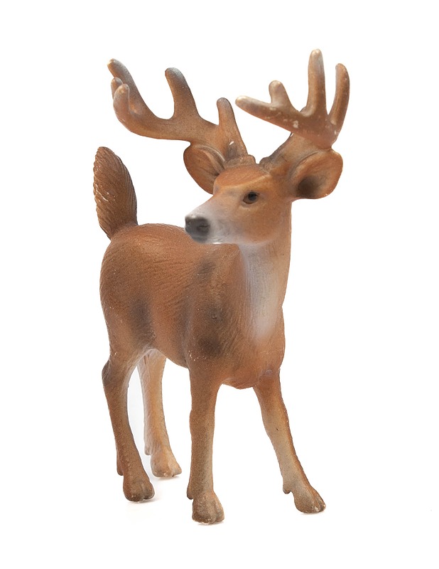 SCHLEICH Valkohäntäpeura figuuri - Lasten lelut - 10105325965 - 0