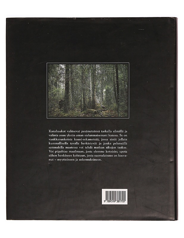 Haukkametsä - Heikki Willamo - Tietokirjat ja oppaat - 10105327923 - 1