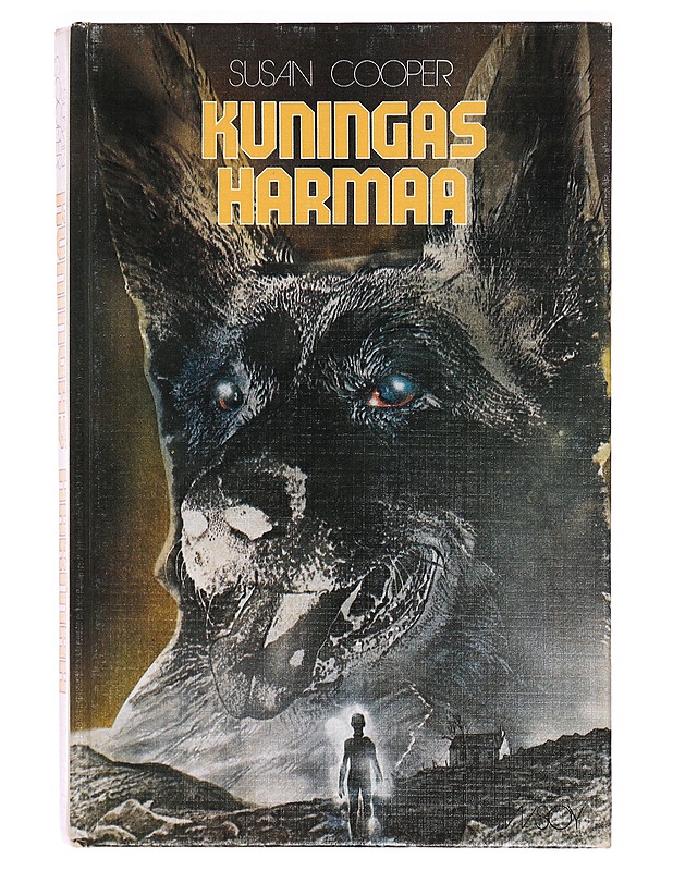 Kuningas harmaa - Susan Cooper - Nuorten kirjat - 10105328344 - 0