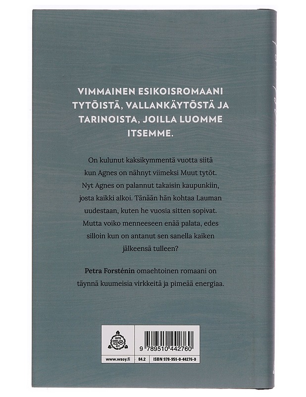 Kadonneet tytöt - Petra Forstén - Romaanit ja novellit - 10105328478 - 1