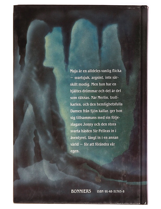 Spindelvävsridån - Romaanit ja novellit - 10105329689 - 1