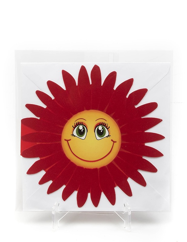 Rouge Daisy korttisetti - Askartelu - 10105330178 - 0