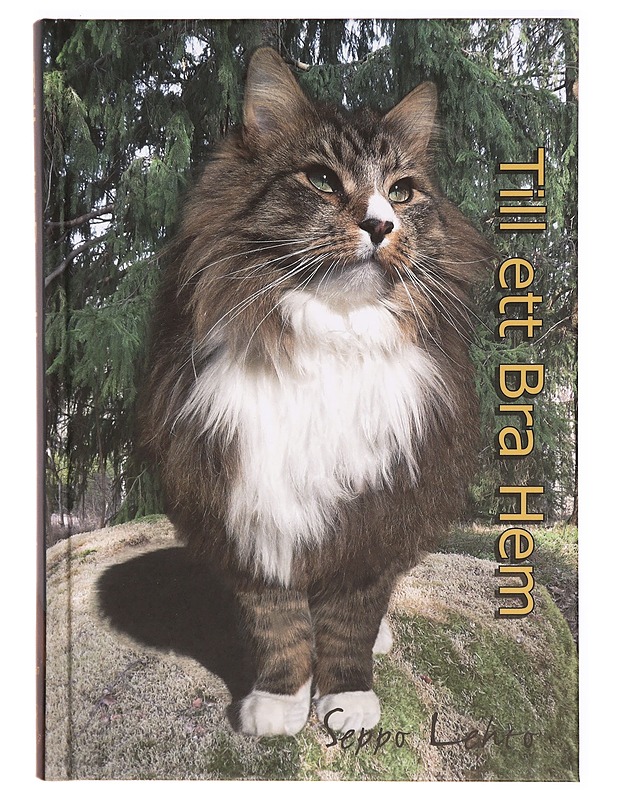 Till ett bra hem - Lehto, Seppo - Romaanit ja novellit - 10105330537 - 0