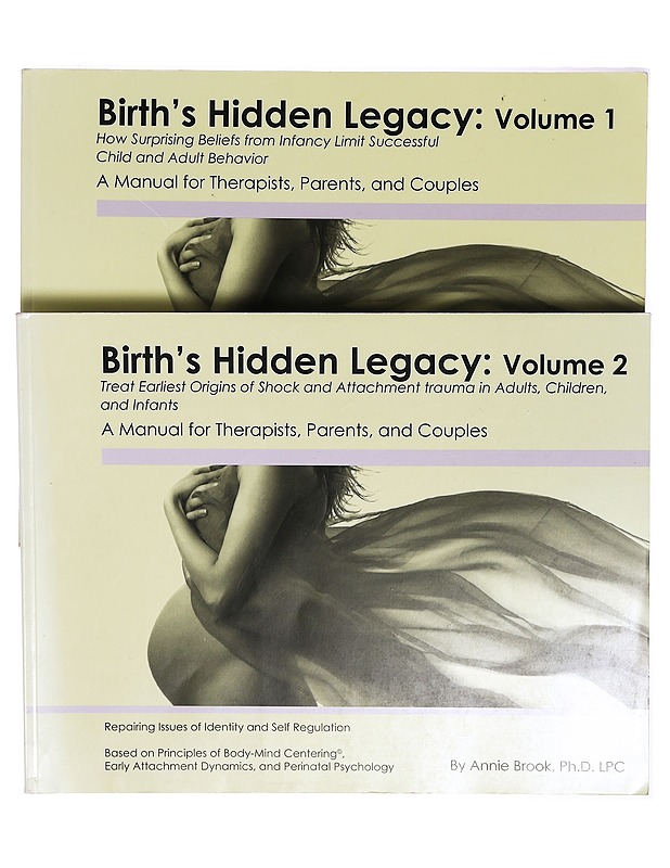 Births hidden legacy - volume 1  - Harrastekirjat - 10105331257 - 1
