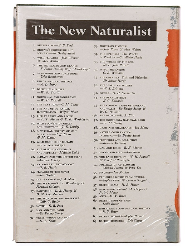 British thrushes - Tietokirjat ja oppaat - 10105331400 - 1