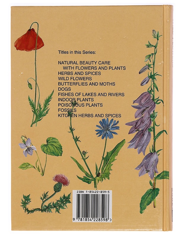 Wildflowers : of field and woodland - V?tvi?ka, Václav - Tietokirjat ja oppaat - 10105331772 - 1