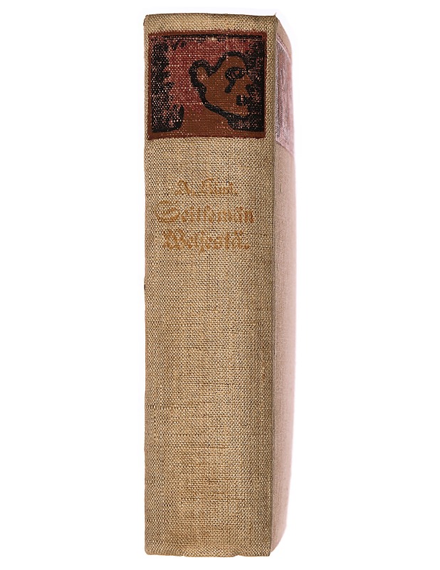 Seitsemän veljestä - Romaanit ja novellit - 10105331962 - 1