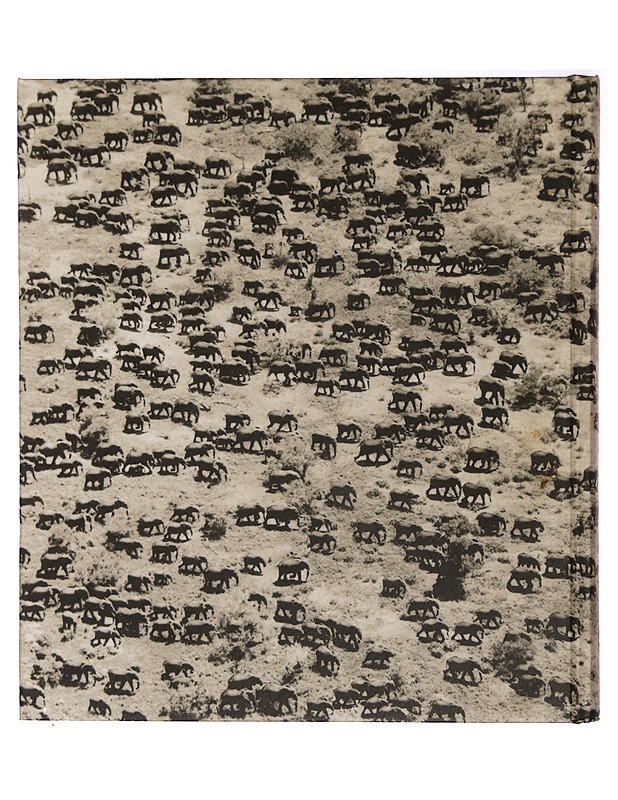 The End of the Game - Peter Beard - Historiakirjat - 10105335668 - 1