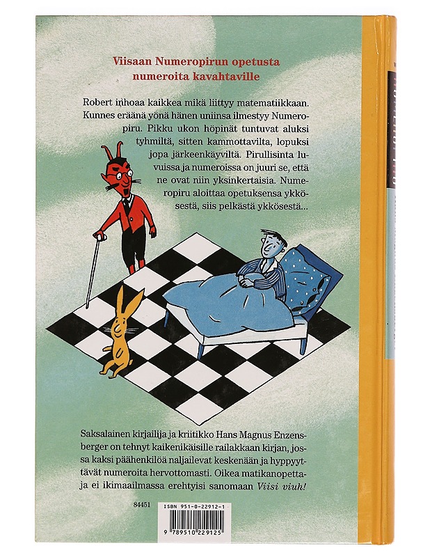 Numeropiru - Enzensberger, Hans Magnus - Nuorten kirjat - 10105336662 - 1