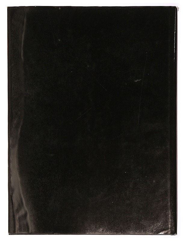 Sallinen - Tito Colliander - Taide- ja kulttuurikirjat - 10105337784 - 1