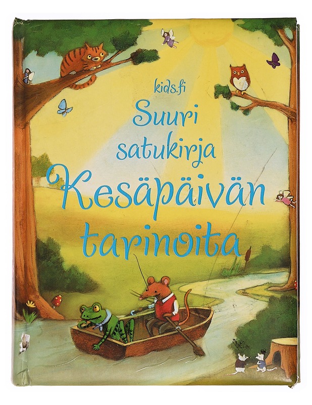 Kesäpäivän tarinoita : suuri satukirja - Sims, Lesley - Lastenkirjat - 10105338177 - 0