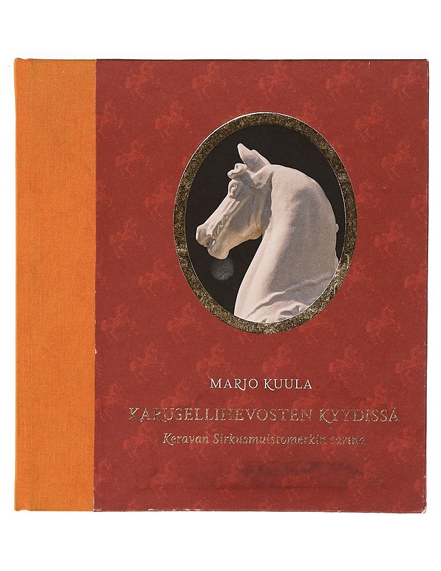 karusellihevosten kyydissä - Harrastekirjat - 10105338423 - 0