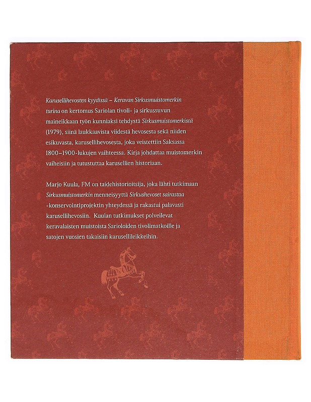 karusellihevosten kyydissä - Harrastekirjat - 10105338423 - 1