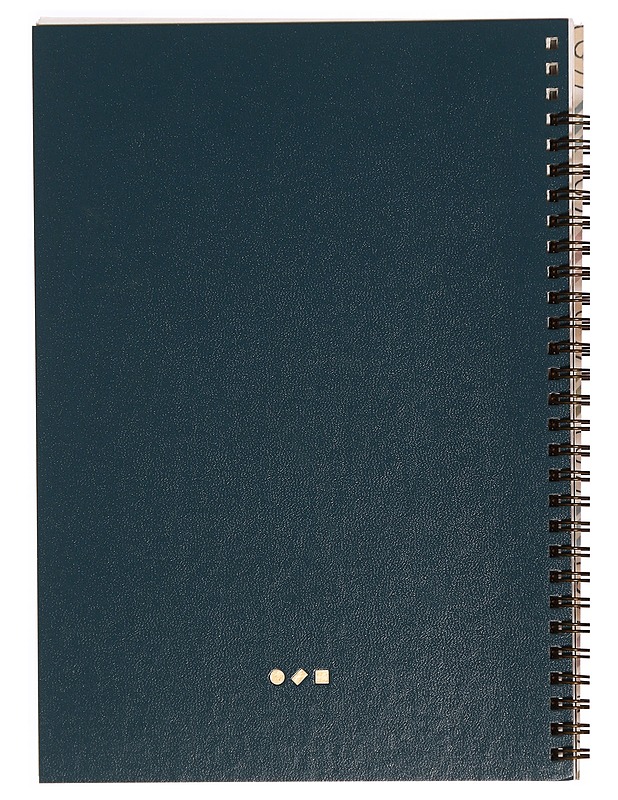 Joint Photographic Survey - Ryder, Adam - Taide- ja kulttuurikirjat - 10105339960 - 1