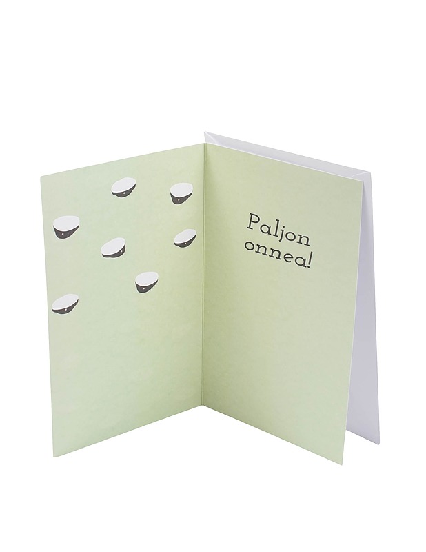 PALETTI Ylioppilaalle, 2-osainen kortti - Askartelu - 10105340048 - 1