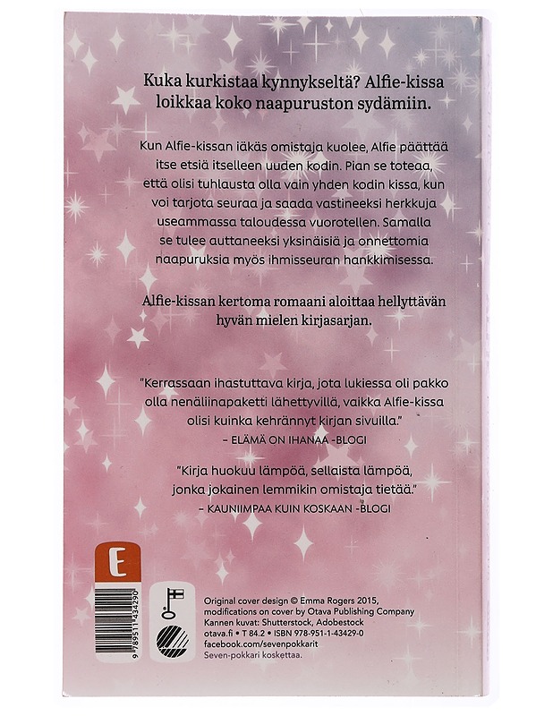 Kissa kynnyksellä - Wells, Rachel - Romaanit ja novellit - 10105341734 - 1