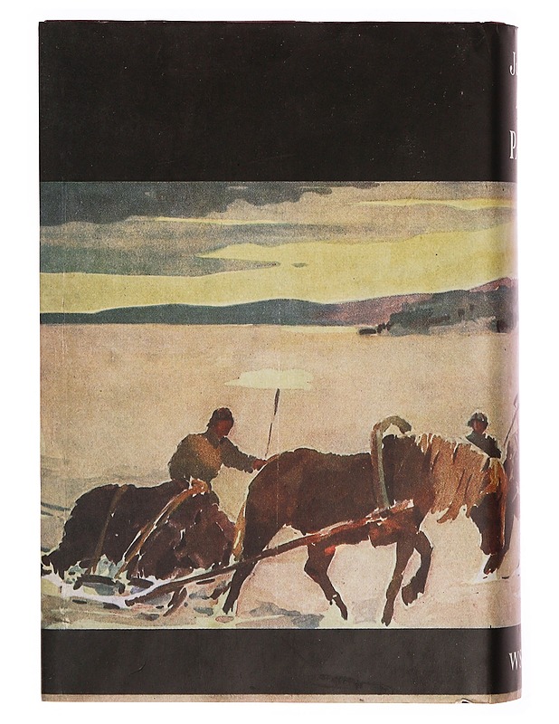Panu : kuvauksia kristinuskon ja pakanuuden lopputaistelusta Suomessa - Juhani Aho - Romaanit ja novellit - 10105343512 - 1
