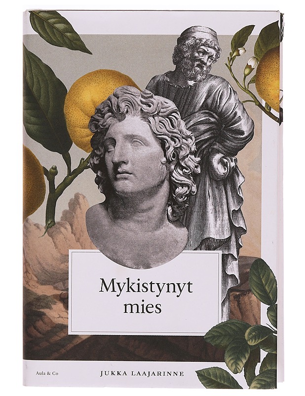 Mykistynyt mies - Jukka Laajarinne - Romaanit ja novellit - 10105343644 - 0
