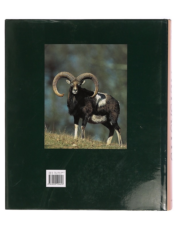 Metsästys  - Tietokirjat - 10105343859 - 1