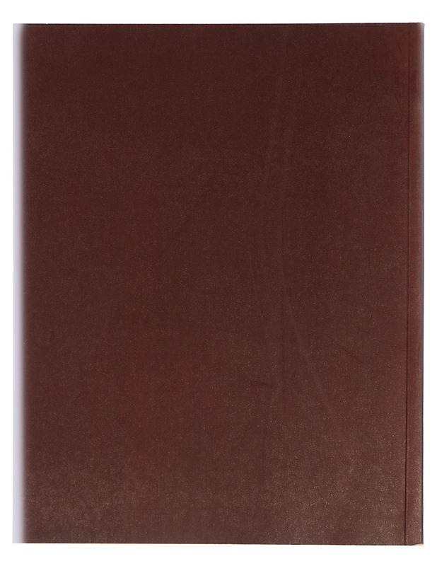 Taidemuseon julkaisuja - Sara Hildén - Taide- ja kulttuurikirjat - 10105344684 - 1