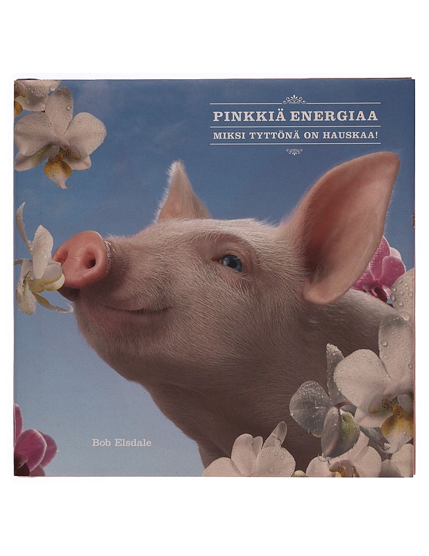 Pinkkiä energiaa : miksi tyttönä on hauskaa! - Elsdale, Bob - Tietokirjat ja oppaat - 10105345614 - 0