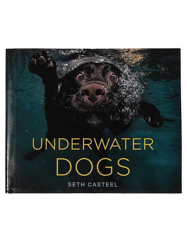 Underwater dogs - Casteel, Seth - Lemmikki- ja luontokirjat - 10105345781 - 0